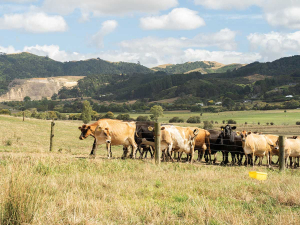 Methionine is one of the building blocks cows use to make protein, but its job does not stop there.
