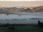 Vintage 2024: North Canterbury