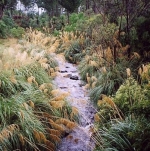 Freshwater Fund may spur wetlands 