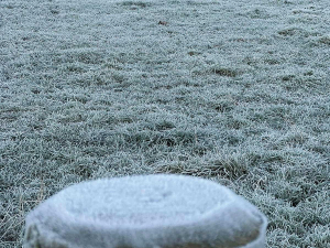 Southern Dairy Hub Rides Out Wet Southland Winter