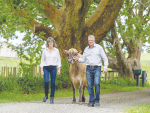 Warren and Michelle Ferguson milk 220 cows at Ferdon Genetics on 92ha at Otorohanga.