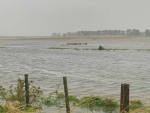 A farm, at Ahuriri near Napier, flooded during Cyclone Gabrielle.