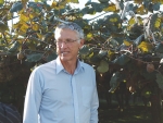 Three keys to success of kiwifruit vote