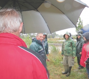 Welcome rain  for organic growers