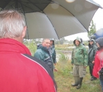 Welcome rain for organic growers