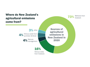 The two main gases that make up NZ agriculture&#039;s GHG profile are livestock emissions at 73% of total agriculture and nitrous oxide, which accounts for 16%.