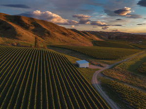 Lawson&#039;s Dry Hills. Photo Jim Tannock