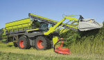 Hemp harvesting up