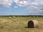 Wanted: people who know what to do when the going is really, really tough – as in the drought in Canterbury.