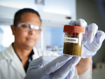 LIC lab technician analysing a farm effluent sample which is tested for bacteria responsible for causing Johne's disease in cows.