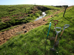 Dairy farmers are tackling environmental issues head on and have made significant progress on their commitment to protecting dairy waterways, reveals a new report by DairyNZ. 