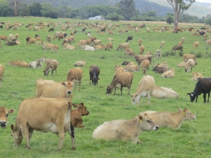 Running an efficient farm is the recipe for Paul Lambert’s success in Tasmania.