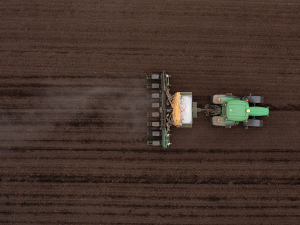 Hybrid selection is important when planting maize.