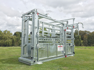 Combi Clamp cattle handler.