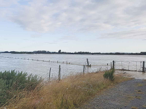 The Oreti River lapping at the top of the stopbank at the height of the Southland floods back in February.