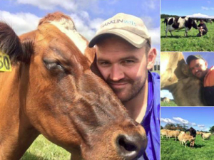 Taranaki sharemilker Matthew Herbert shows on Twitter how real sharemilkers treat cows. 