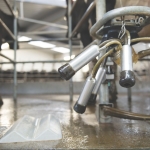 Plastic eliminates rubber bacteria issues