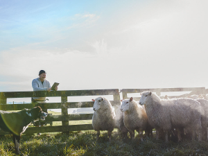 The increases have come even though the agricultural sector facing a raft of challenges in the past two years. Photo Credit: Paul Sutherland Photography.