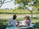 Intel and Insights - Wine tourism