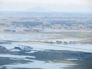 Flooded farms in the Manawatu last week.