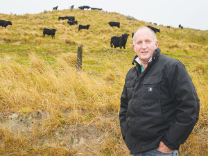 B+LNZ board chair Andrew Morrison (pictured) has been voted out, meanwhile a motion for a vote of confidence in the B+LNZ board has been proposed for the levy organisation&#039;s annual general meeting.