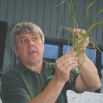 Plan your fungicide strategy