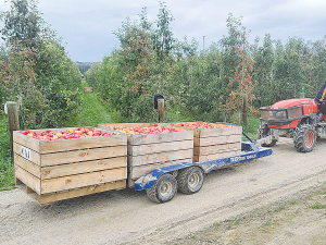 The Transtak system 1500LP with a conventional roller trailer system is able to keep up with 3 or 4 picking teams.