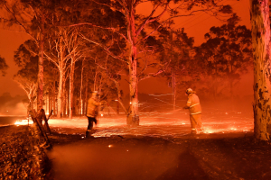 Oz farmers suffer heavy losses - NFF