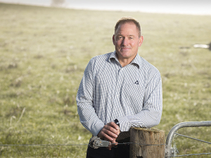 The potential impact of having 48,000 extra cull cows could be a stretch for the meat processors, says LIC general manager NZ markets Malcolm Ellis.