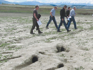 Rabbit damage on farmland near Dunstan, Central Otago. PHOTO: BOB DOUGLAS