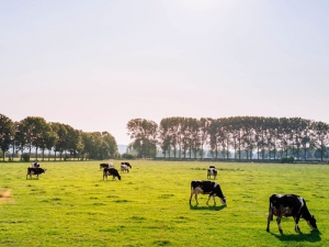 As part of the partnership AgResearch will have the opportunity to access Taratahi&#039;s 12 farms.