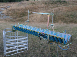 Fenemor Innovations popular Vetmarker lamb docking chute is easy to use with less stress on lambs who are released onto their feet. Photo supplied.