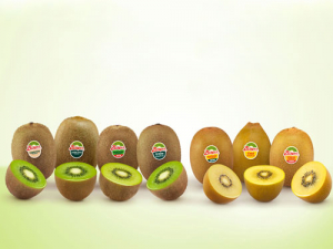 The kiwifruit industry is coming together this week to celebrate the 20th anniversary of the Zespri brand.