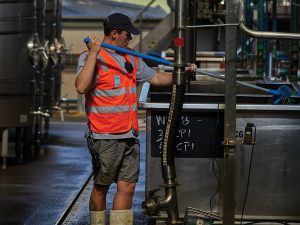 Decarbonising Wine: Wineries seek &#039;clean and clever&#039; energy solutions