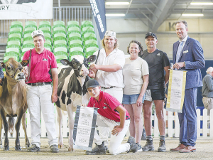 Supreme Junior Champion Glenidol Lambda Cookie, owned by 14-year-old Toby Whytock (kneeling), of Te Awamutu, gave the family a great run in their first big show.
