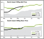 BEEF | Cattle prices lift as competition heats up