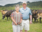 Northland dairy farmers David and Collen Fagan found the effects of economising on dry cow therapy treatments soon show up in bulk milk cell counts.
