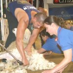 Shearing an Olympic sport?