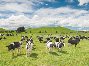 The New Zealand Dairy Industry Awards have already attracted 366 entries.