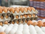 Egg production is expected to decline during 2019-20.