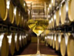 Spotlight on NZ wine