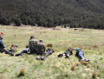 Hunters generally see deer as a valuable resource.
