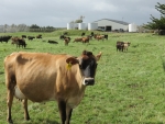Concern for future of dairy farming