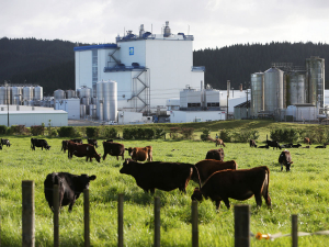 Fonterra has signalled its losses could be as high as $675 million when it announces its annual results this week.