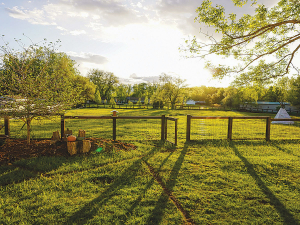 Farmers will now be able to take advantage of a new &#039;green&#039; loan offered by Bank of New Zealand.