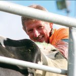 Global dairy crisis might help NZ