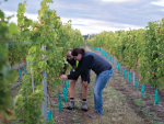 Women in Wine: Emma Taylor
