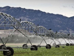 Water restrictions – they impact irrigators too
