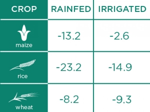 Effect of climate change on average maize, rice and wheat yields in 2050: Based on process-based models (DSSAT) between 2010 and 2050 (%). Source: IFPRI study