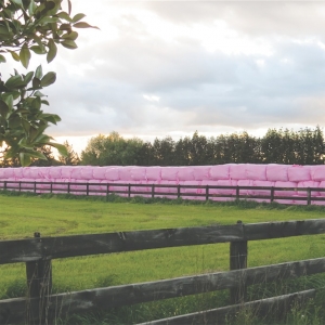 Agpac&#039;s pink bales